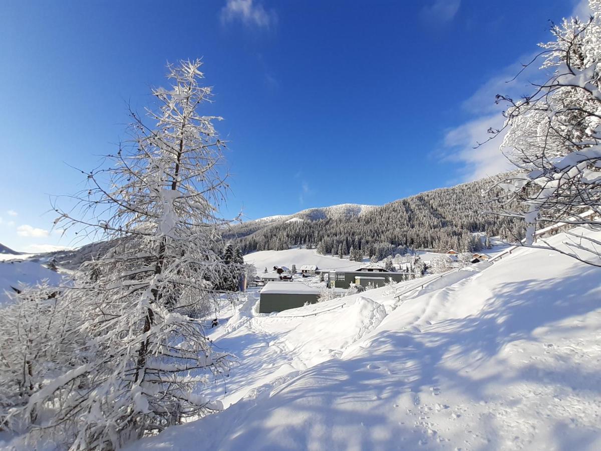 Chalet Verdino Bad Kleinkirchheim Exterior foto